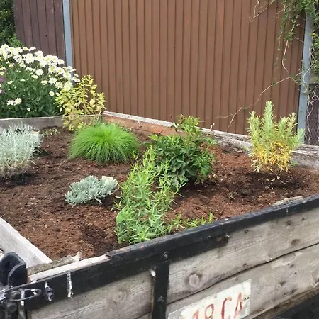 Ferienhaus La Cense Du Vieux Frene *