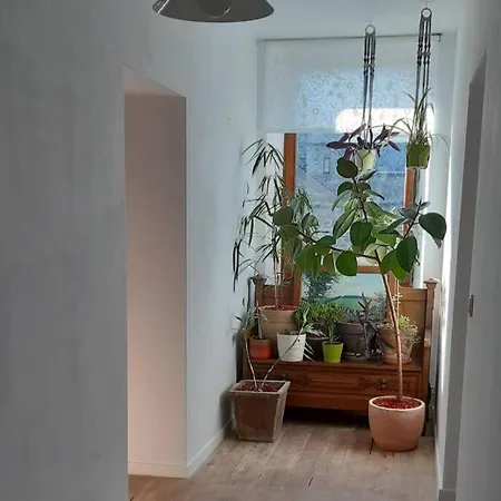 Feriehus La Cense Du Vieux Frene