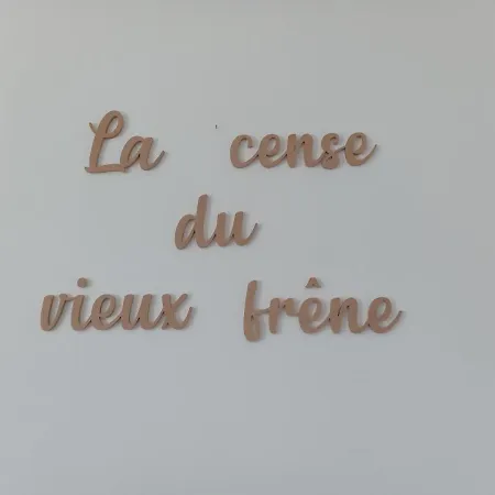 La Cense Du Vieux Frene Feriehus Sainte-Ode