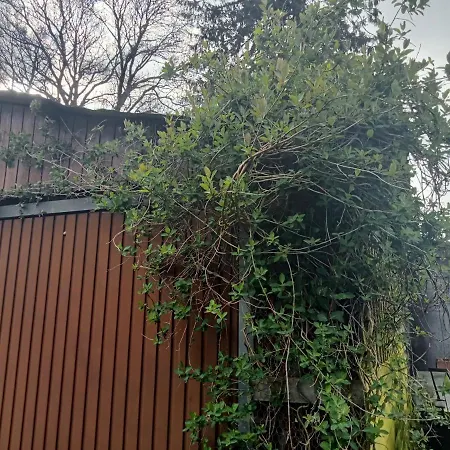 Feriehus La Cense Du Vieux Frene