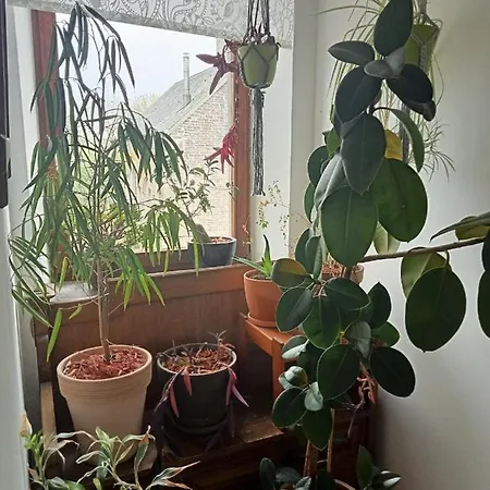 Ferienhaus La Cense Du Vieux Frene