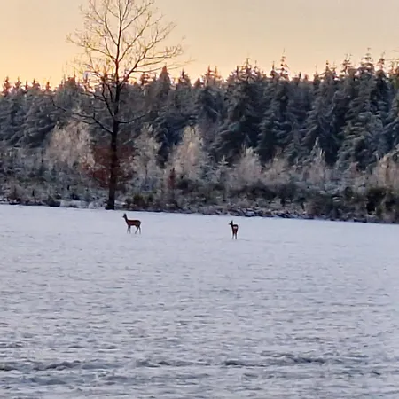 Ferienhaus La Cense Du Vieux Frene Sainte-Ode