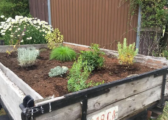 Vakantiehuis La Cense Du Vieux Frene *