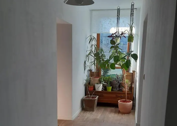 Casa de Férias La Cense Du Vieux Frêne