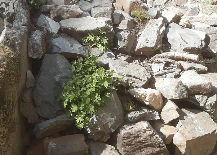 Vakantiehuis La Cense Du Vieux Frene