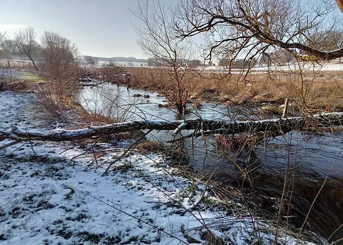 La Cense Du Vieux Frene Vakantiehuis *