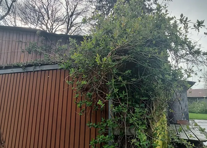 Vakantiehuis La Cense Du Vieux Frene