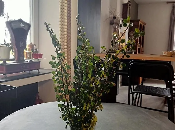 La Cense Du Vieux Frene Vakantiehuis *